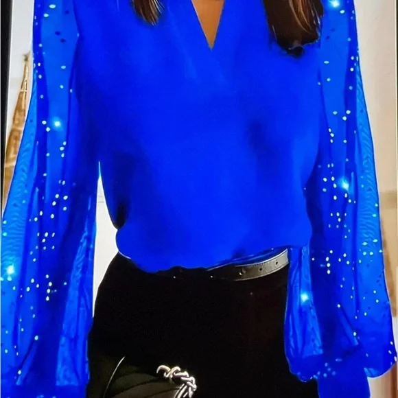 Elegant Pink OR Blue Blouse with Sheer Sparkly Sleeves. SIZES vary - Picture 2 of 9